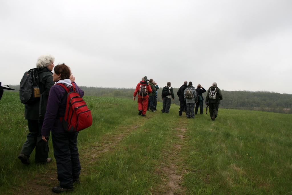 VWG vogelreis Oost Duitsland mei 2010 307